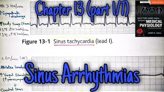 Sinus tachycardia and bradycardia  chapter 13 part 17  Guyton and Hall text book of physiology [upl. by Natascha]