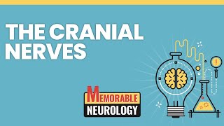 Cranial Nerves Mnemonics Memorable Neurology Lecture 9 [upl. by Gitlow]