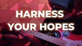 Harness your Hopes  Pavement COVER [upl. by Darrill]