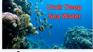 Under the deep ocean  Sea world in deep water [upl. by Niwhsa374]