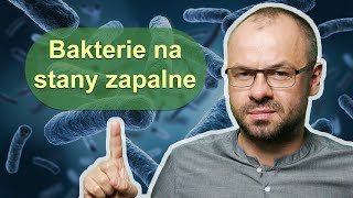 Te bakterie zwalczą stan zapalny w organizmie [upl. by Attalie]