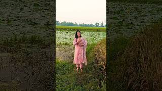 Choriye gelo valobasha Nil akaser gai bengali love song ytshorts trending chaitali [upl. by Raycher964]