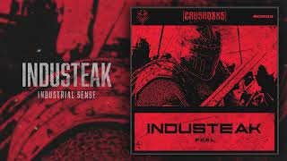 Industeak  Industrial Sense CR019 [upl. by Treble]