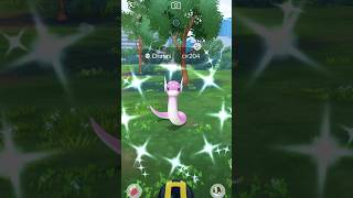 When I caught Dratini 😳 Pokemon go [upl. by Sina]