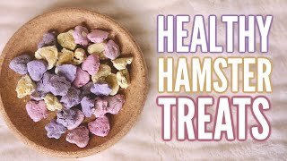 DIY Healthy Hamster Treats [upl. by Rechaba5]