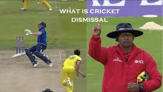 Types of dismissals in Cricket How many do you know [upl. by Leduar]