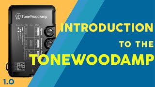 Introduction to the ToneWoodAmp [upl. by Wallach]