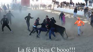 MANADE DE LÉTRIER 🐂 ENCIERRO  ATTRAPAÏRES 🐂 05112023 [upl. by Oah381]