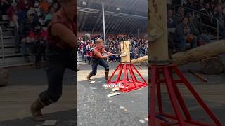 Insanely satisfying Lumberjack fast Wood cut [upl. by Bever]