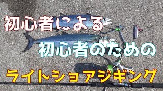 【堤防から大物！】ライトショアジギングのやり方をLSJ歴1年の初心者が解説する。 [upl. by Mashe]