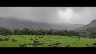 Kamshet waterfall puneshorts trending travel foodie nature [upl. by Phyl]