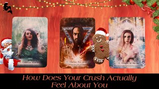 How Does Your Crush REALLY Feel About You🌹👀💕🐚  Pick a Card Tarot Reading [upl. by Pathe]