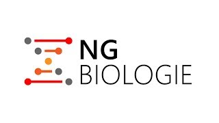 Welkom bij NGbiologie Uitlegvideos en examentraining [upl. by Merrili688]