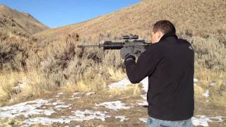 Bushmaster AR15 Carbon 556 [upl. by Gerg341]