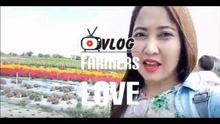 Farmers Love Agri Farm l Travelvlog l Everydaymj sunflowergarden farmerslove Agrifarm [upl. by Akirdnwahs149]