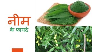 नीम के फायदे  Neem Ke Fayede  Health Benefits of Neem In Hindi [upl. by Hui994]