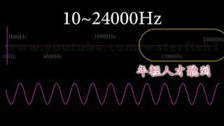 聽力測試，音響頻率響應測試音頻 10Hz24000Hz Sine Wave Sound Frequency Tone [upl. by Ayoras3]