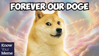 RIP Doge Kabosu the Beloved Shiba Inu of the Doge Meme Has Crossed The Rainbow Bridge [upl. by Ibbie346]