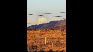 LIVE EL CALAFATE SANTA CRUZ LAGO ARGENTINO PATAGONIA VIVO [upl. by Tolmann]