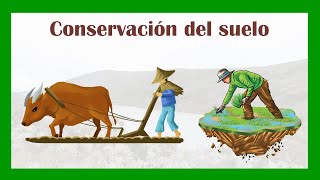 Conservación del suelo  técnicas y prácticas [upl. by Cila]