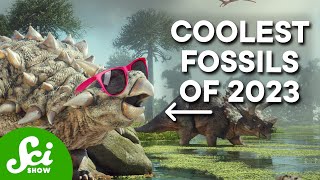 These Are The Coolest Fossils From 2023 [upl. by Naujtna]