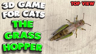 3D game for cats  CATCH THE GRASSHOPPER top view  4K 60 fps stereo sound [upl. by Ogaitnas987]