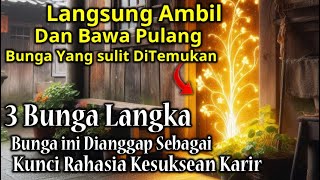 SULIT UNTUK DITEMUKAN  3 Bunga Langka Yang Memiliki Khasiat Dan Kegaiban Yang Luar Biasa [upl. by Nahtnoj]