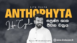 Anthophyta Life Cycle  Unit 4  Biology  Kasun Wickramasinghe [upl. by Brey]