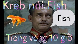 Krebs Nói Fish Trong Vòng 10 Giờ  Hítle Parodies [upl. by Sigler]