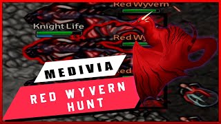 MEDIVIA ONLINE  RED WYVERNS HUNTAFTER UPDATE [upl. by Oiramaj]