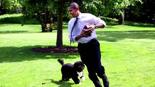 Obama family dog Bo dies [upl. by Ytsim]