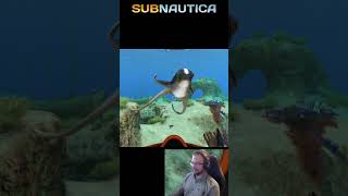 Playingwithcuddlefish Subnautica pelirami subnauticaisnotahorrorgame [upl. by Sabelle]