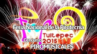 Concurso de Piromusicales FNP Tultepec 2015 [upl. by Neelrahs]