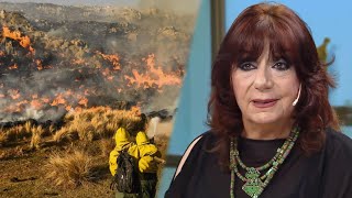 Ludovica Squirru habló del drama de los incendios en Córdoba y aseguró quotSON INTENCIONALESquot [upl. by Paver]