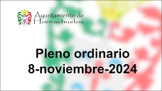 Pleno Extraordinario del 8 de noviembre de 2024 [upl. by Gabriel]