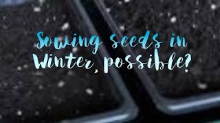 Sowing Seeds in Winter A Crazy Gardener [upl. by Jimmie343]