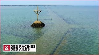 Le passage du Gois [upl. by Irrot]