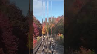 Fall 2024Agawa Canyon Train TourCanada 阿加華峽谷的秋色 [upl. by Anerbas]