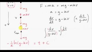 Differential Equations  Terminal Velocity Example [upl. by Cynar327]