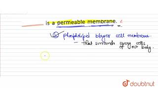 is a permeable membrane [upl. by Dinny]