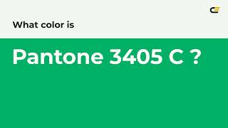 What color is Pantone 3405 C  00af66 hex color  Green color  Cool color 00af66 [upl. by Eigram]