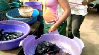 Nigerian Food how to Point amp Kill fish NaijaStyle [upl. by Conte]