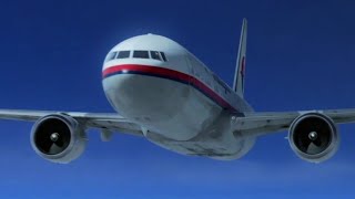 Malaysia Airlines Flight 17  Crash Animation [upl. by Faus]