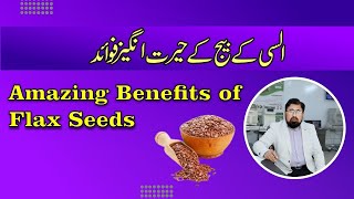 Flax seeds Alsi health benefits and nutrition facts in UrduHindi [upl. by Yevi575]