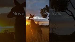 November in Australia [upl. by Adnoraj]