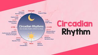 Circadian Rhythm Dietitian Shreya [upl. by Yblocaj]