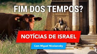 Qual a relação do Massacre de 7 de Outubro as Bezerras Vermelhas e o Terceiro Templo [upl. by Alyakcim]