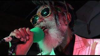 Don Carlos and Dub Vision at Ashkenaz Christos DC opens March 4 2017 whole show [upl. by Abott]