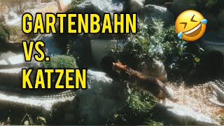 Gartenbahn vs Katzen [upl. by Ximenes]