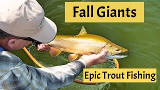 Fall Giants  Epic Trout Fishing [upl. by Norehc]